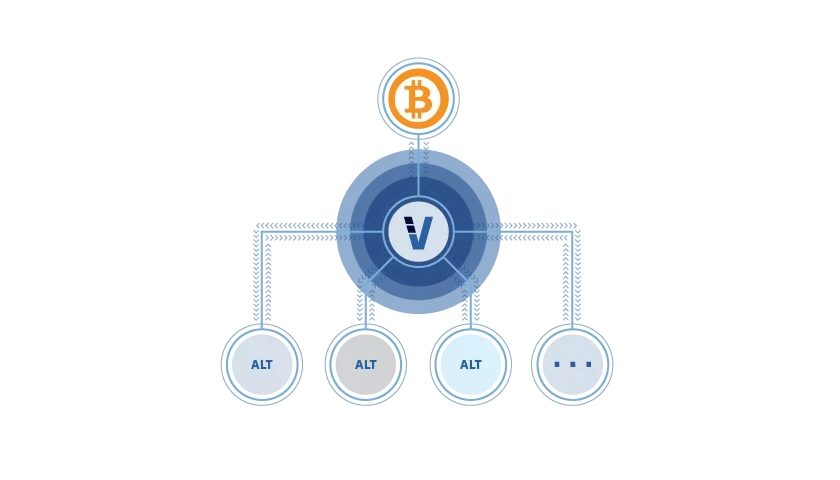 The VeriBlock blockchain