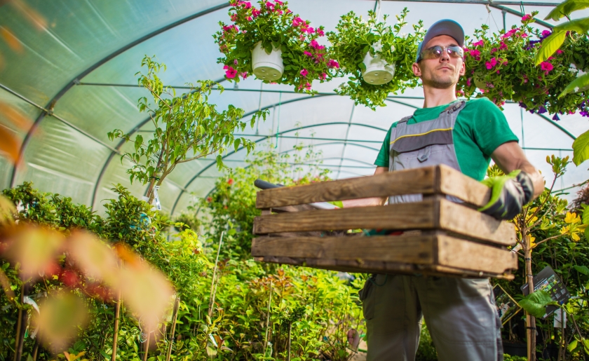 crypto mining greenhouse