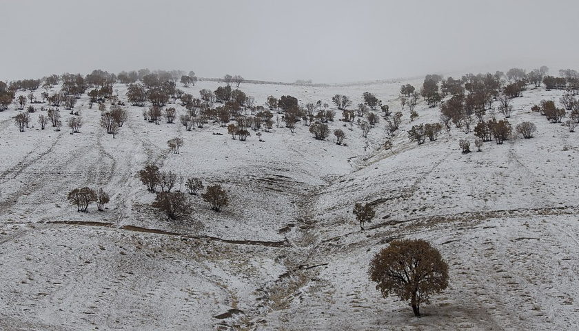 Iran winter