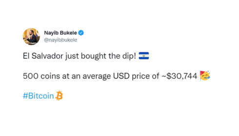 El Salvador Buys Another 500 Bitcoins as Price Drops Below $31,000 USD